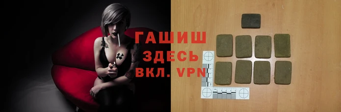 стаф Балахна