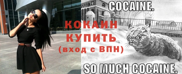 стаф Балахна