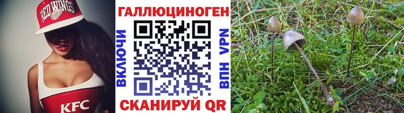 Галлюциногенные грибы MAGIC MUSHROOMS Воскресенск
